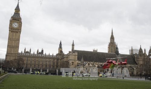 Spitzenpolitiker weltweit verurteilen Anschlag am britischen Parlamentsgebäude - ảnh 1